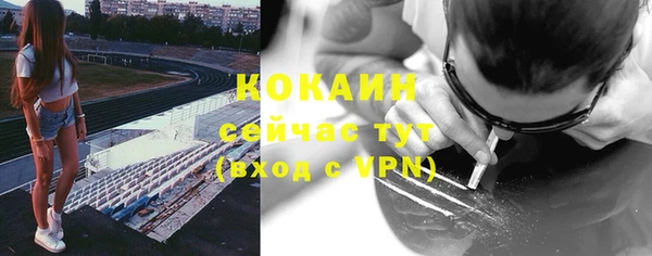 молекула духа Арсеньев