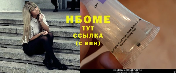молекула духа Арсеньев