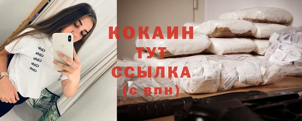 молекула духа Арсеньев