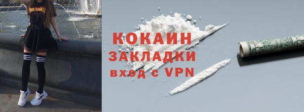 молекула духа Арсеньев