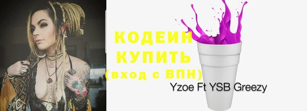 молекула духа Арсеньев