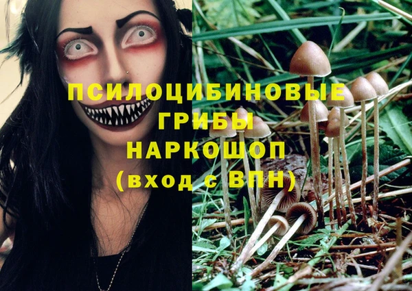сатива Армянск