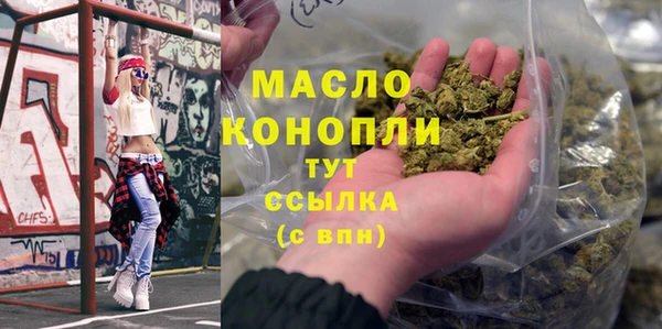 молекула духа Арсеньев
