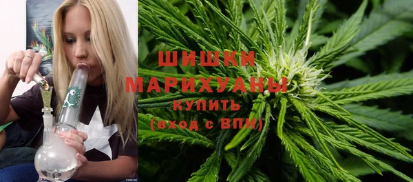 сатива Армянск