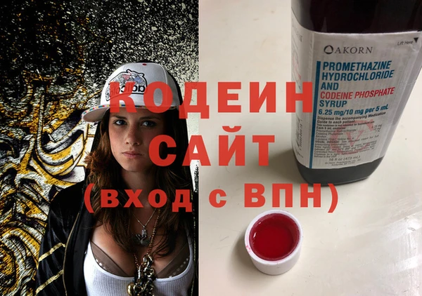 молекула духа Арсеньев
