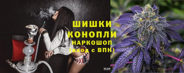 молекула духа Арсеньев
