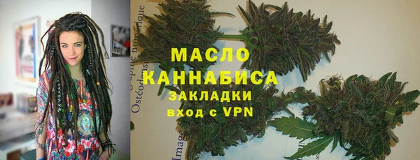 молекула духа Арсеньев